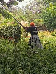 Ichigo preview 2
