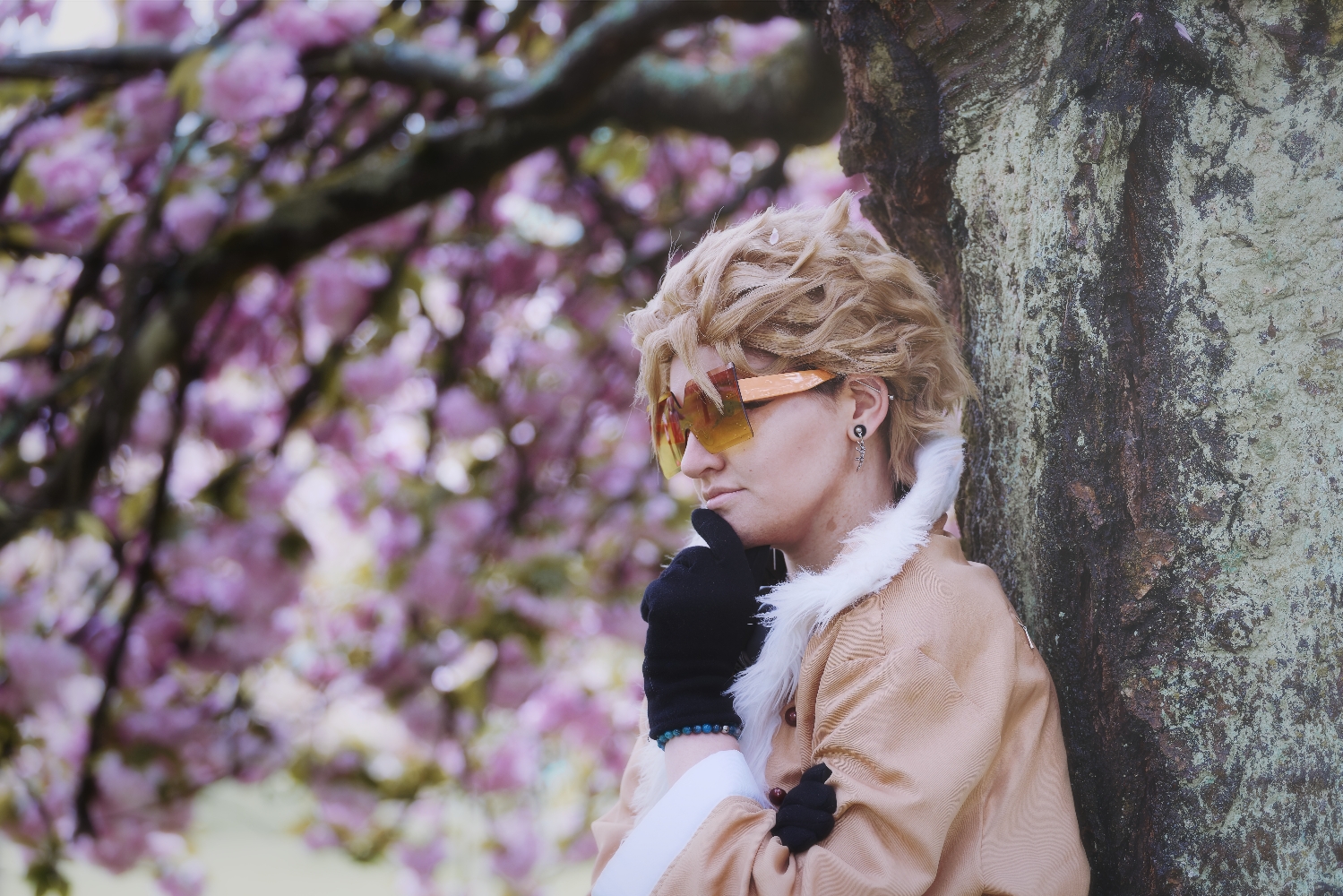 Hawks — photo 13