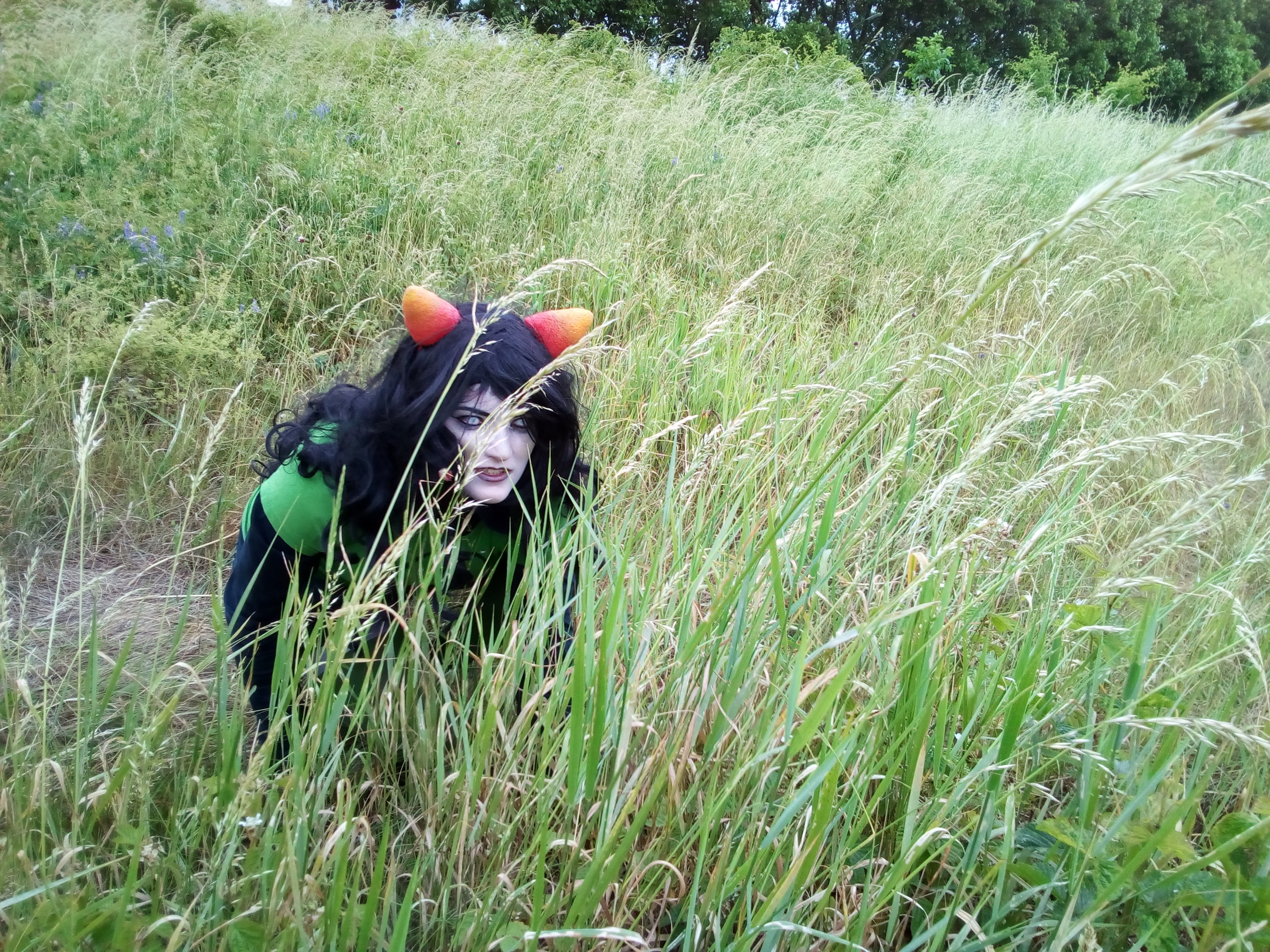 Meulin Leijon — photo 18