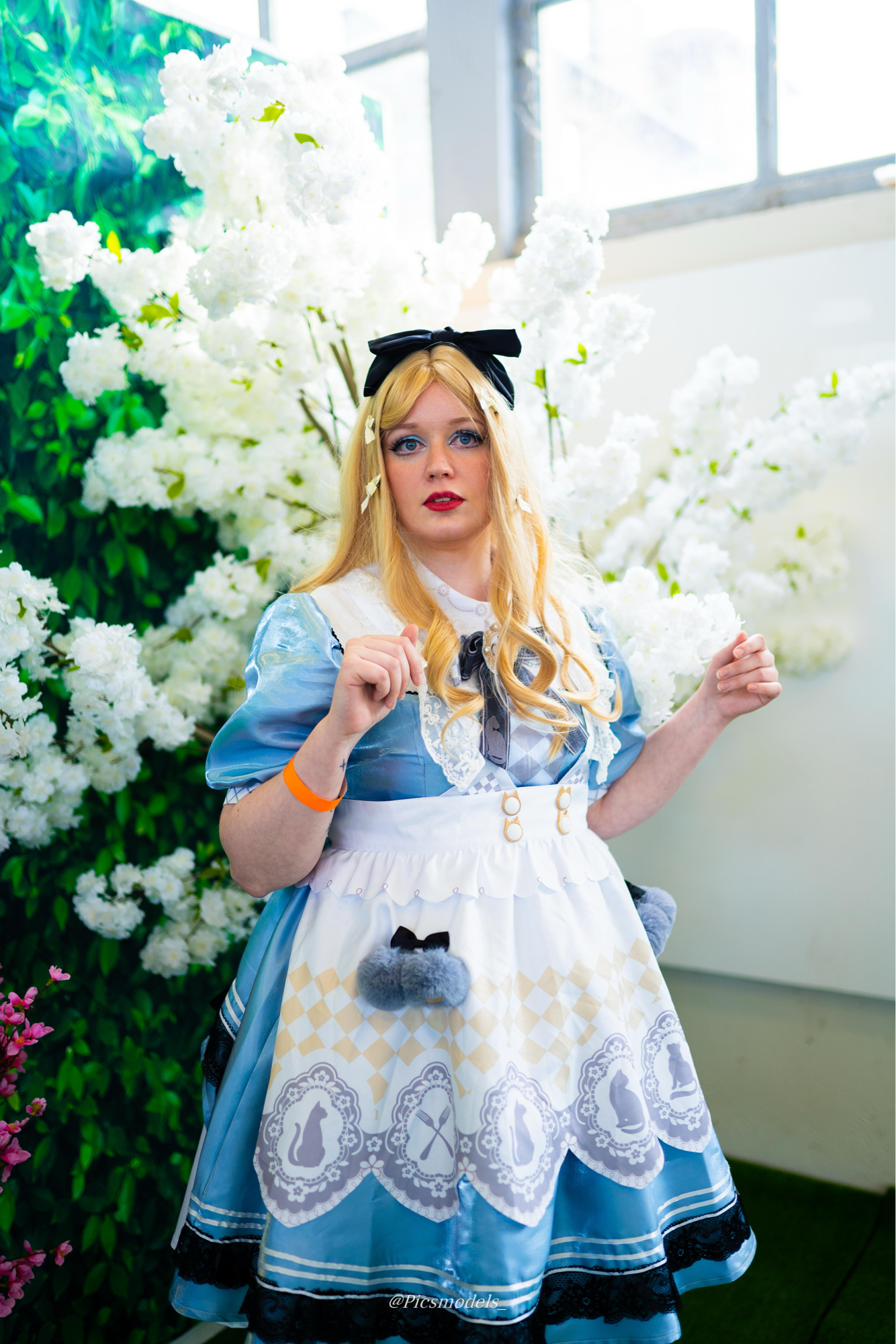 Duo Alice — photo 6