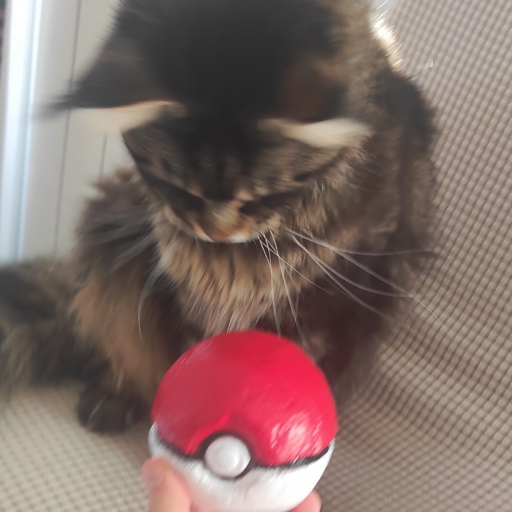 Pokéball — photo 5