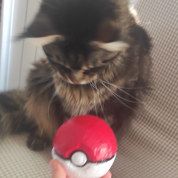 Atlas_cos• - Pokéball