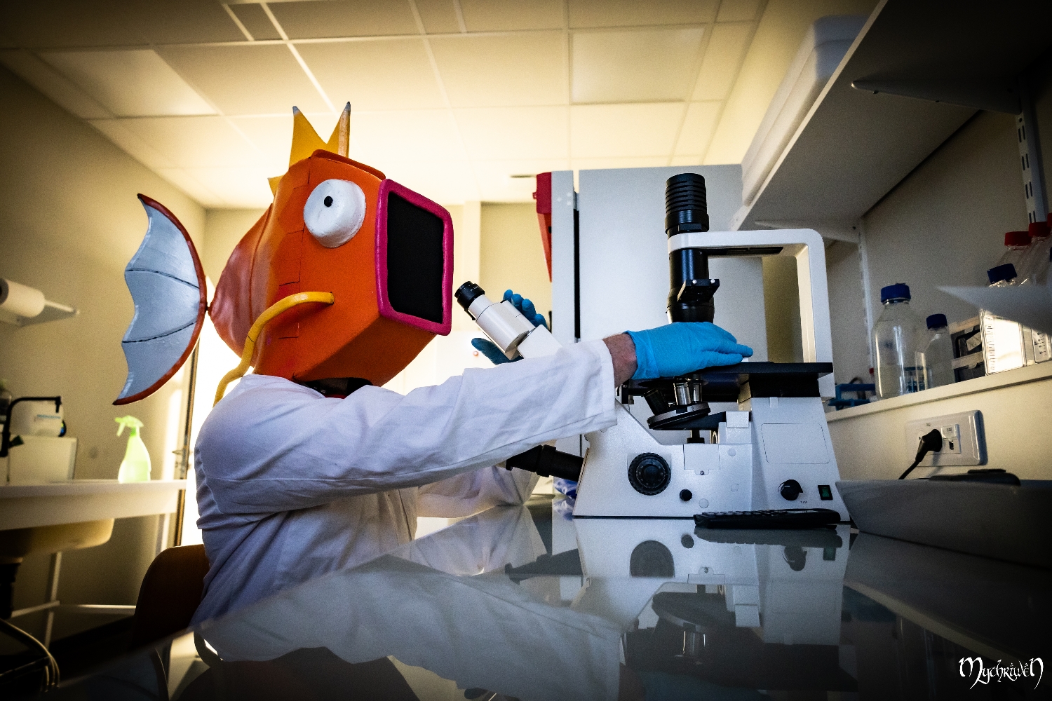 Professor Magicarpe  - Photo 9