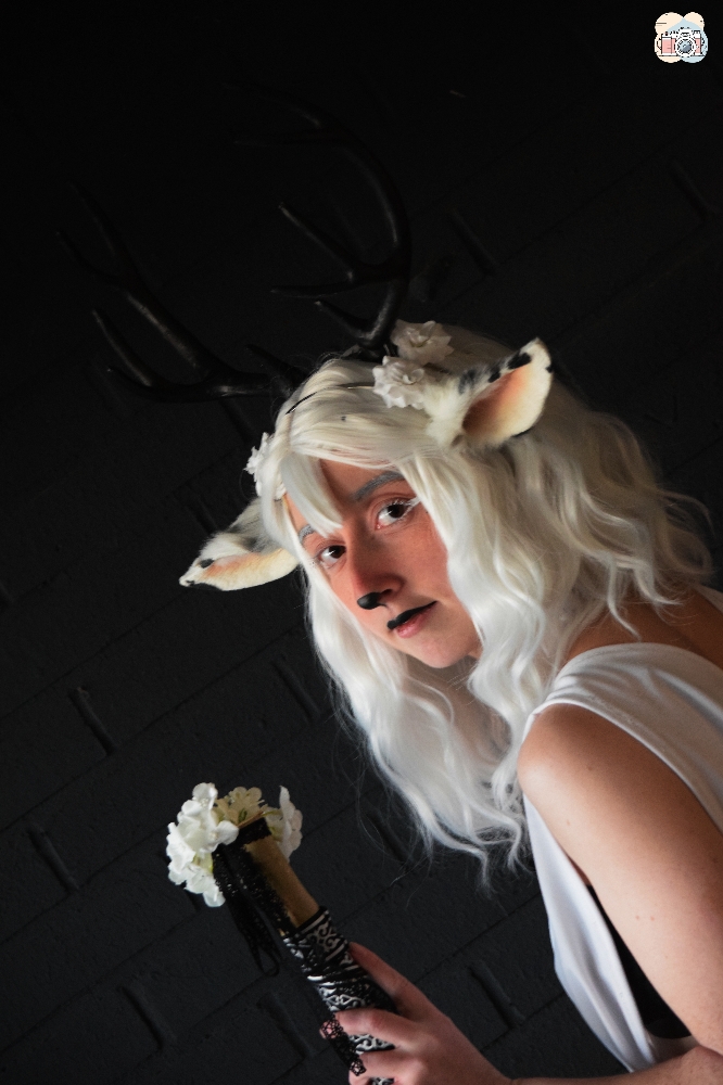 Faune noir et blanc - Photo 15