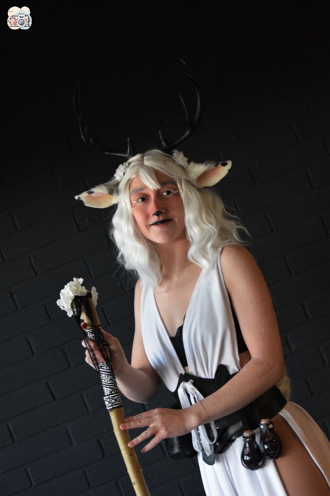 Faune noir et blanc - Photo 13