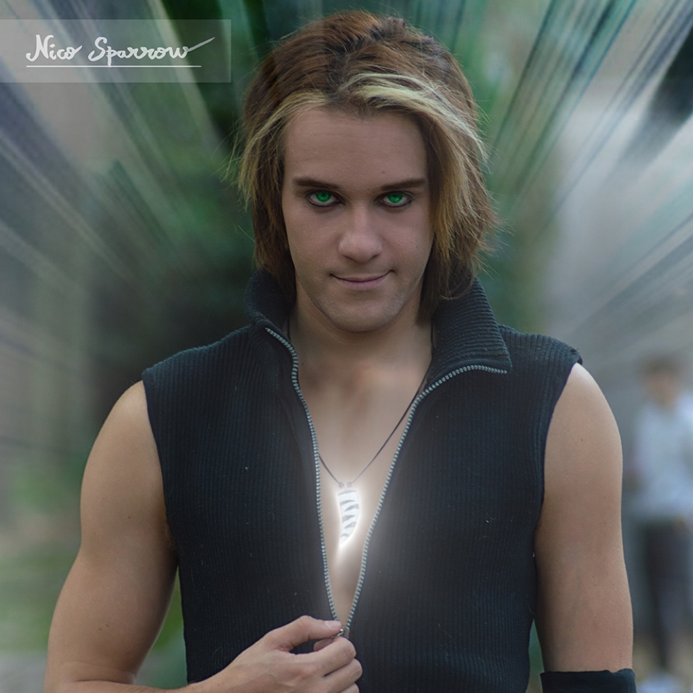 Miraculous OC civil1