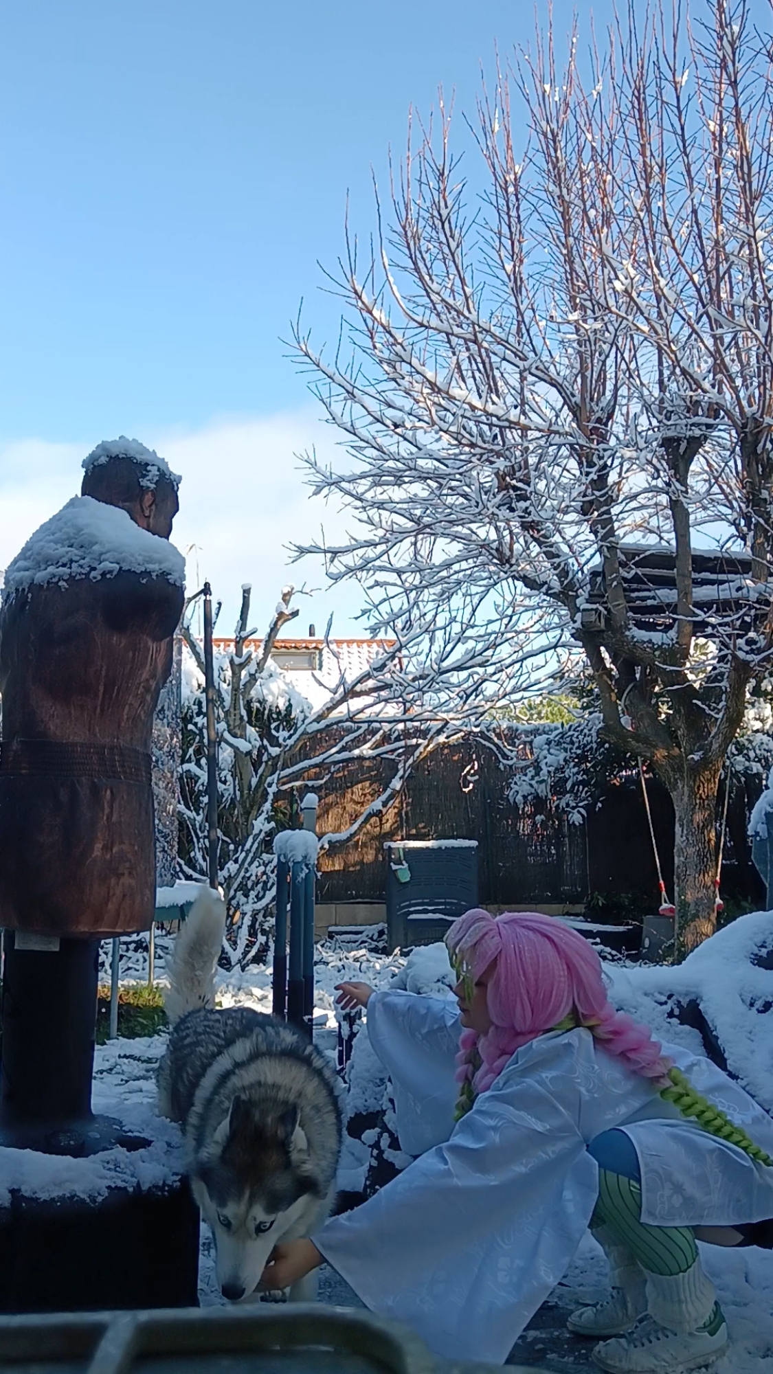 Mitsuri Kanroji - Photo 18