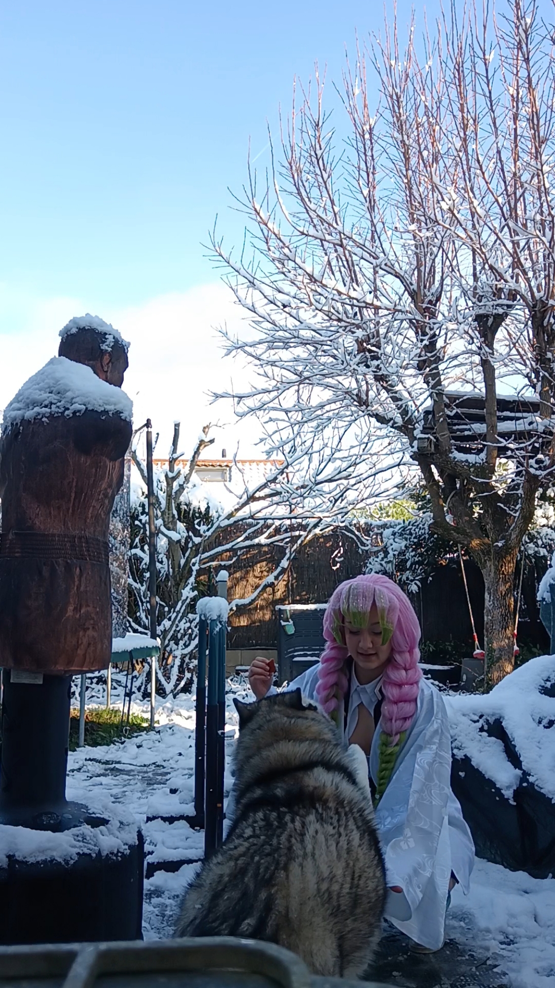 Mitsuri Kanroji - Photo 22