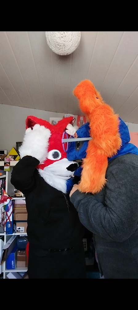 Stellar et Rød Ulva - Photo 3