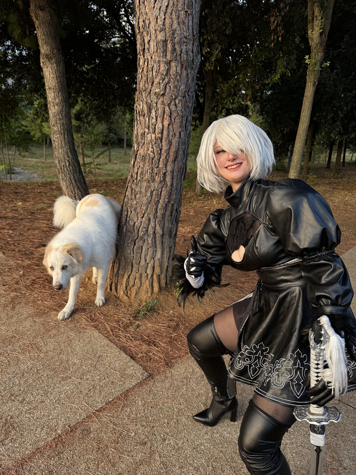 2B — photo 8