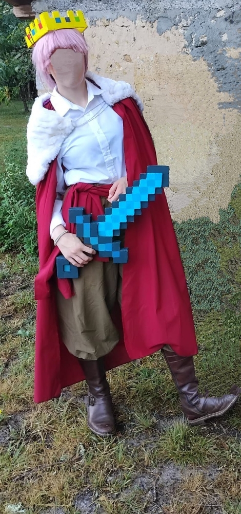 Technoblade  - Photo 2