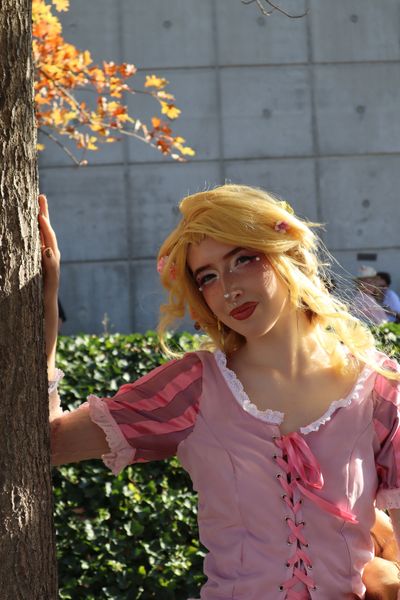 _s1lent_ech0splay, Rapunzel PM 2026