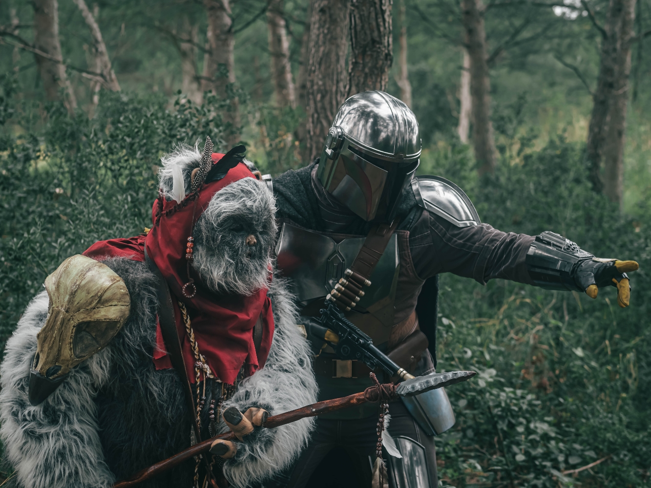 Forest Shooting — photo 10