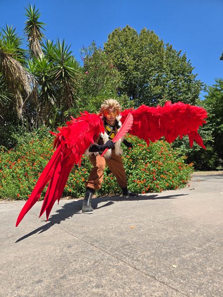 Marie_co - Hawks 