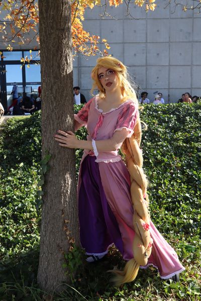 _s1lent_ech0splay, Rapunzel PM 2026