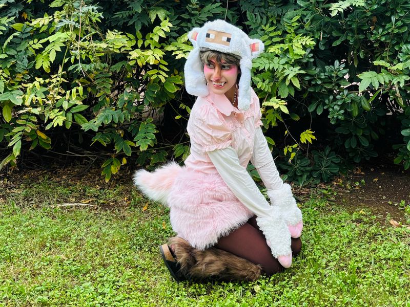 Armin, pink sheep 