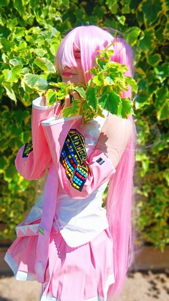 Saphir_ - SAKURA MIKU