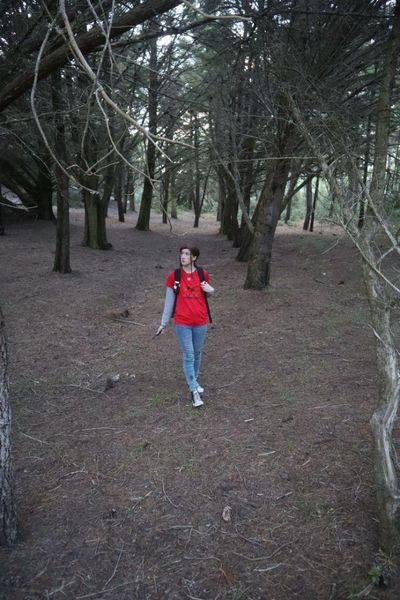 _s1lent_ech0splay - Ellie TLOU forest