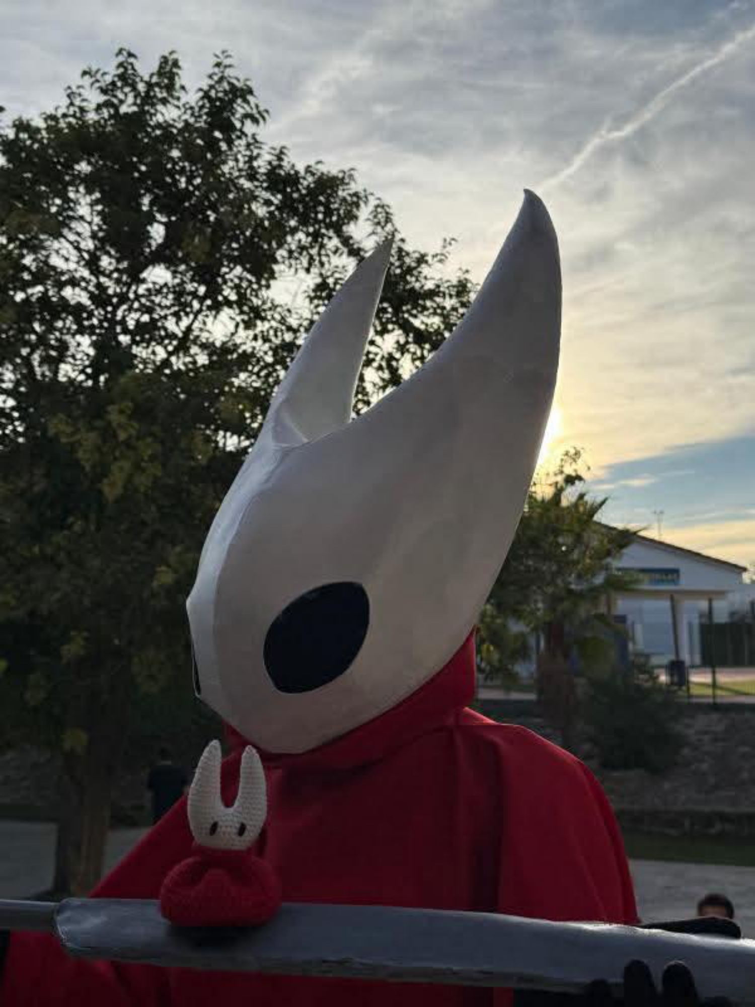 Hornet — photo 23
