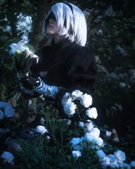 2B classic preview 3