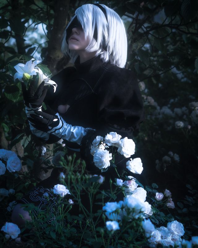 Sydnex – 2B classic 