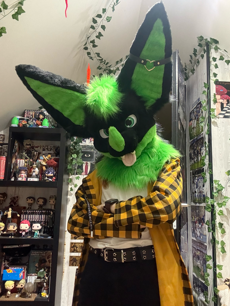 Photos Razzor - Photo 3