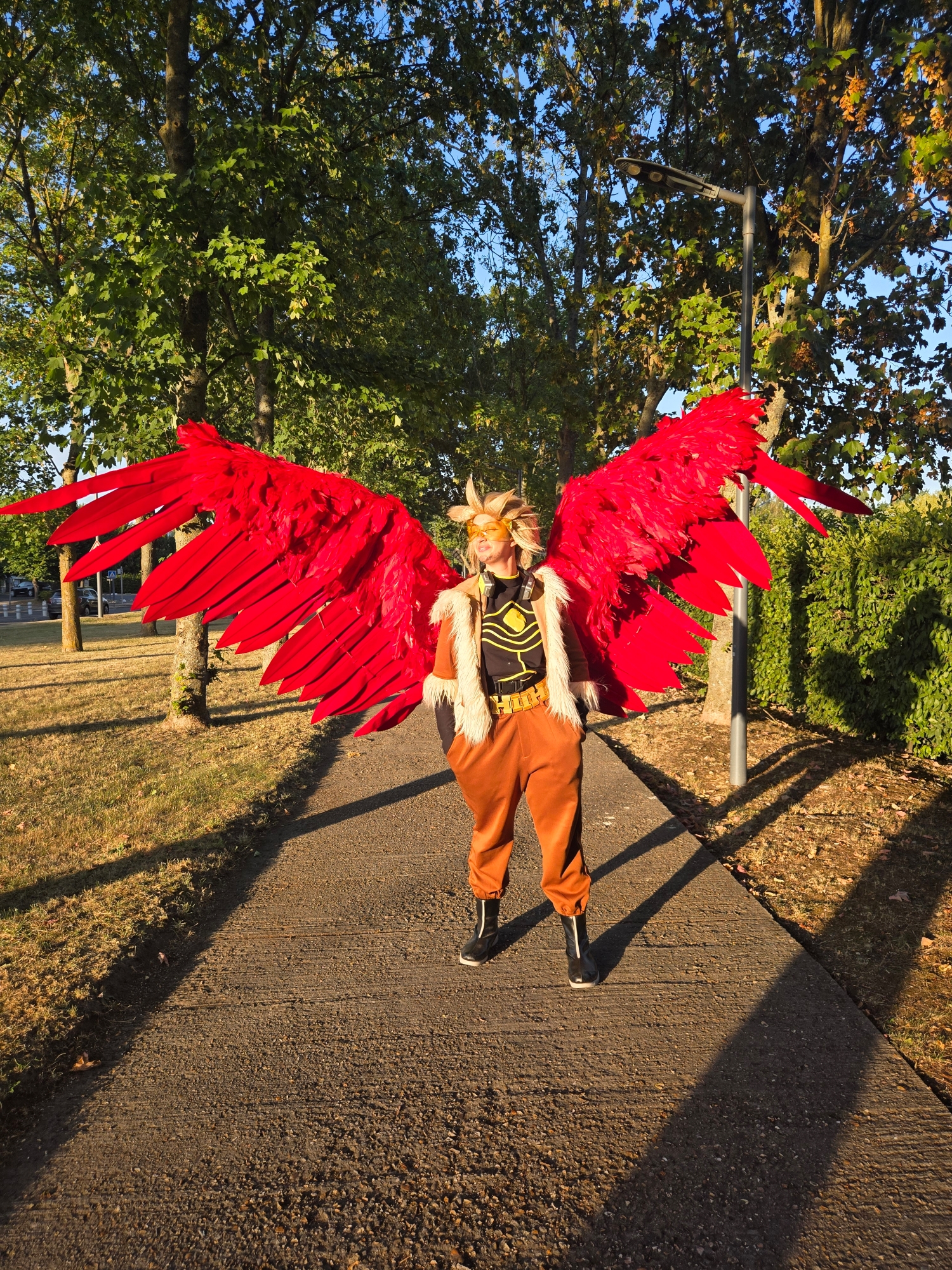 Hawks — photo 208