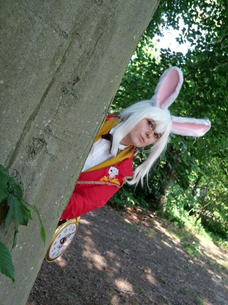Calamity_garnet - Lapin blanc d'Alice