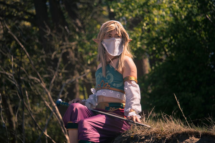 Calico_moss - Gerudo Link
