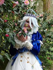 Furina Hanami preview 3
