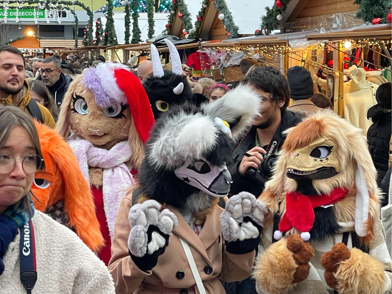 Photos Tapioca - Photo 19