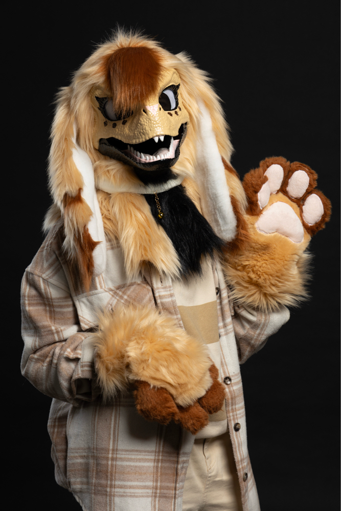 Photos Tapioca - Photo 5