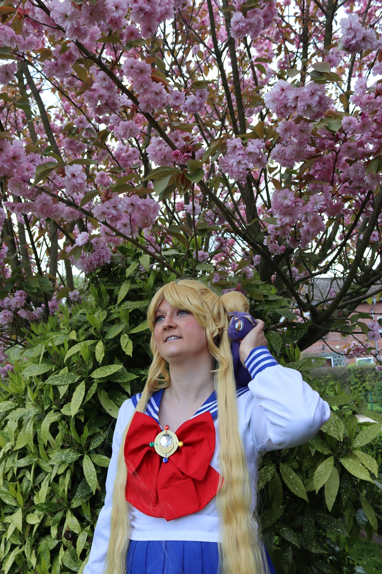 Usagi Tsukino  - Photo 19