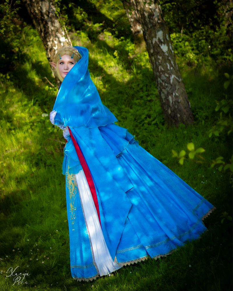 Zelda - Photo 6