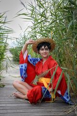 Luffy 🏴‍☠️ preview 2
