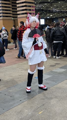 Japan touch