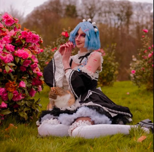 All.cristal - Rem