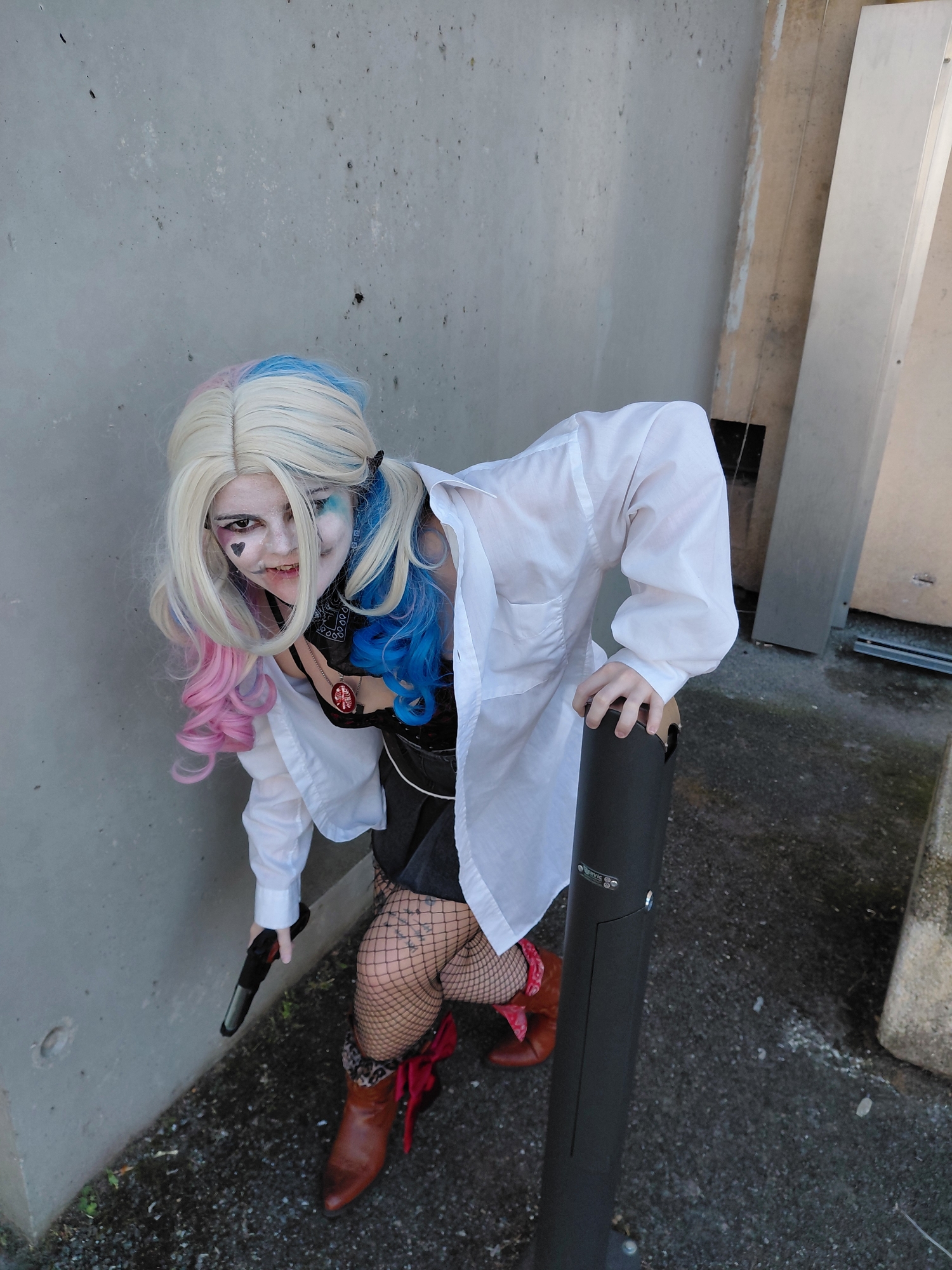 Harley quinn — photo 6