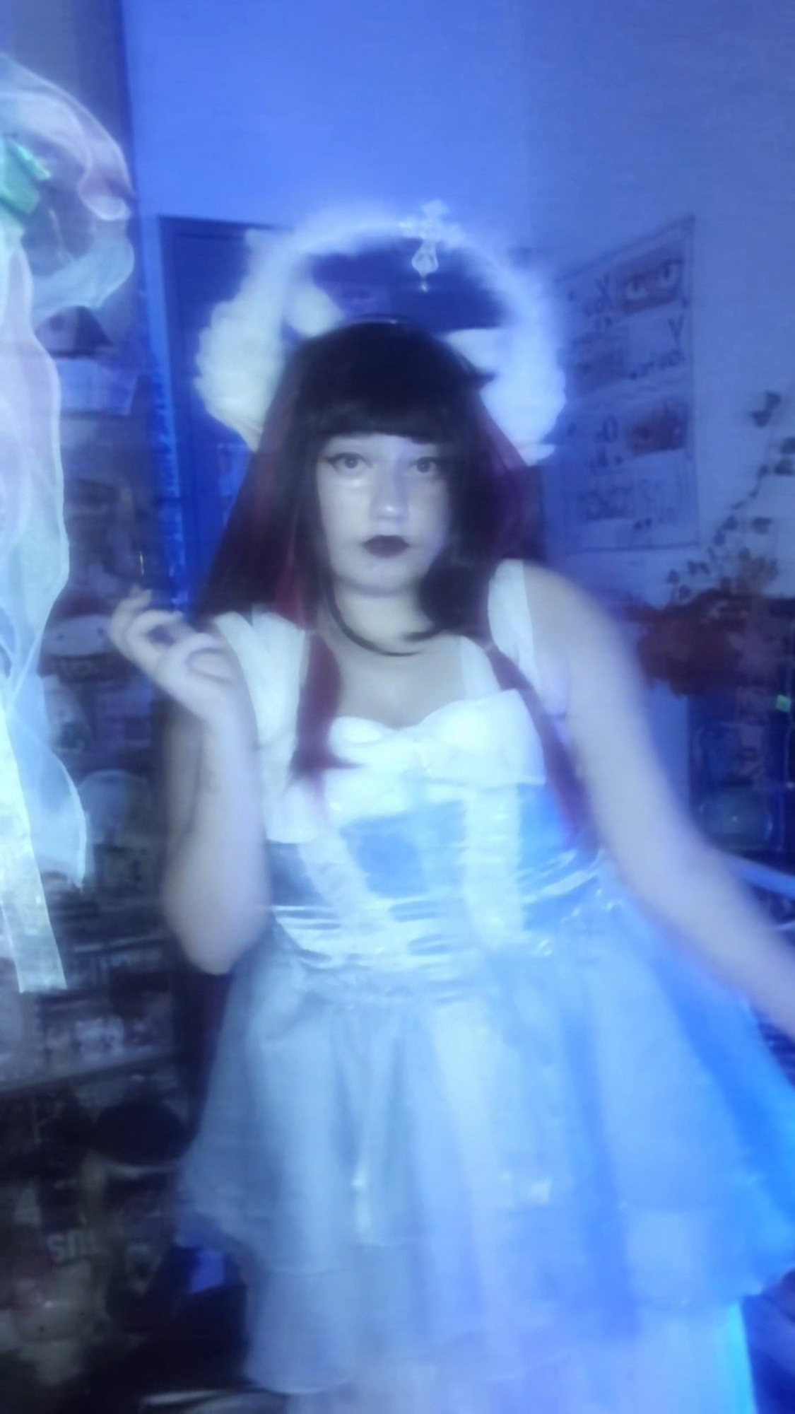 Columbina  - Photo 11