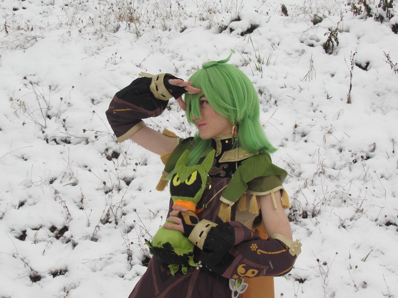 Collei (neige) — photo 10