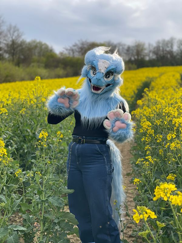 Fursymphony – Fleurs de colza ☀️