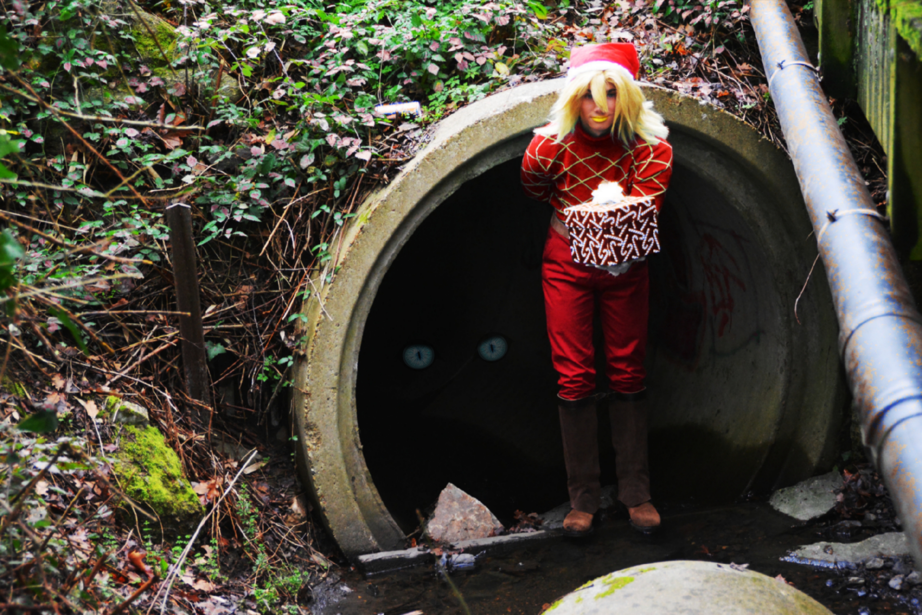 Diego Brando Noël — photo 5