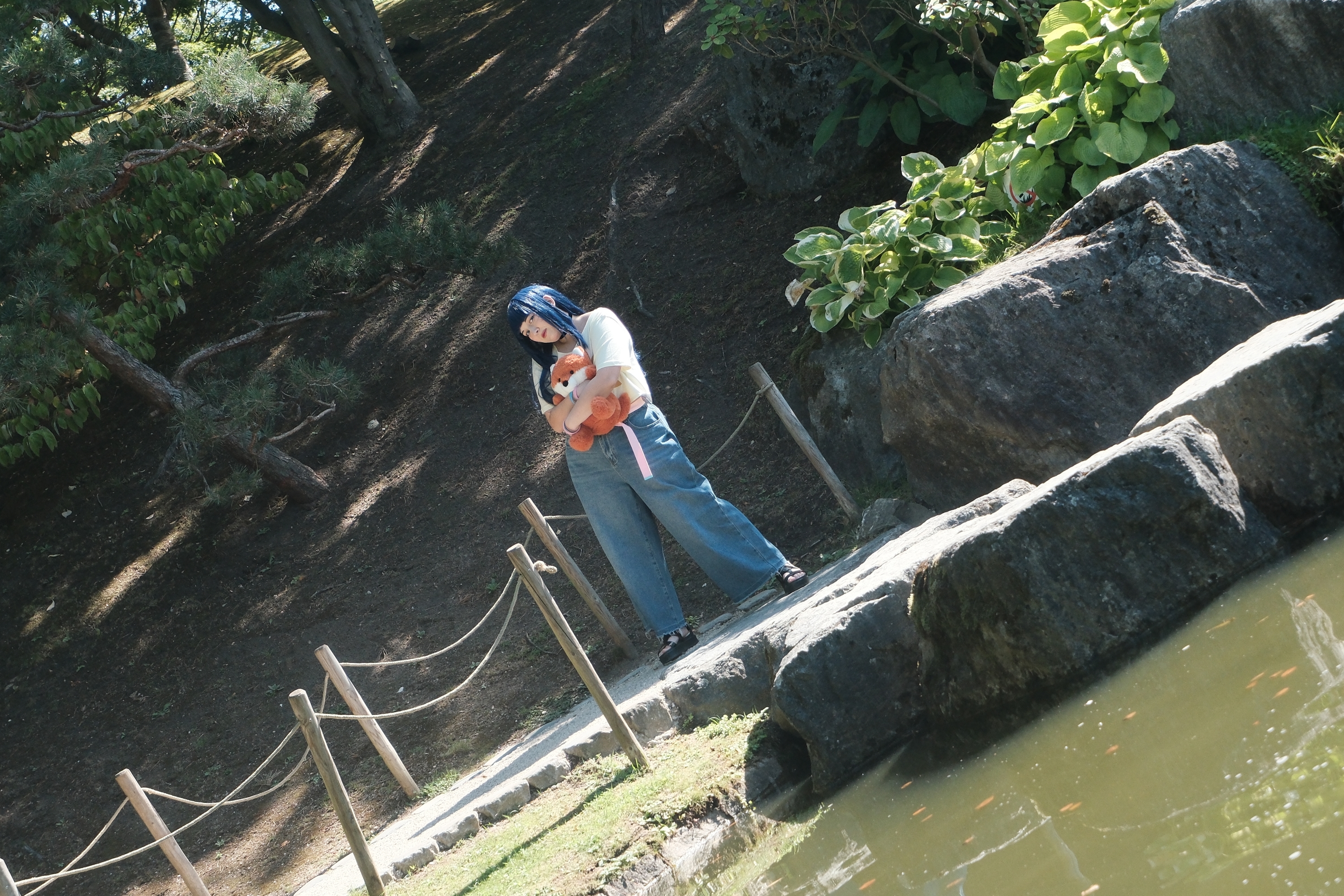 Himawari  - Photo 31