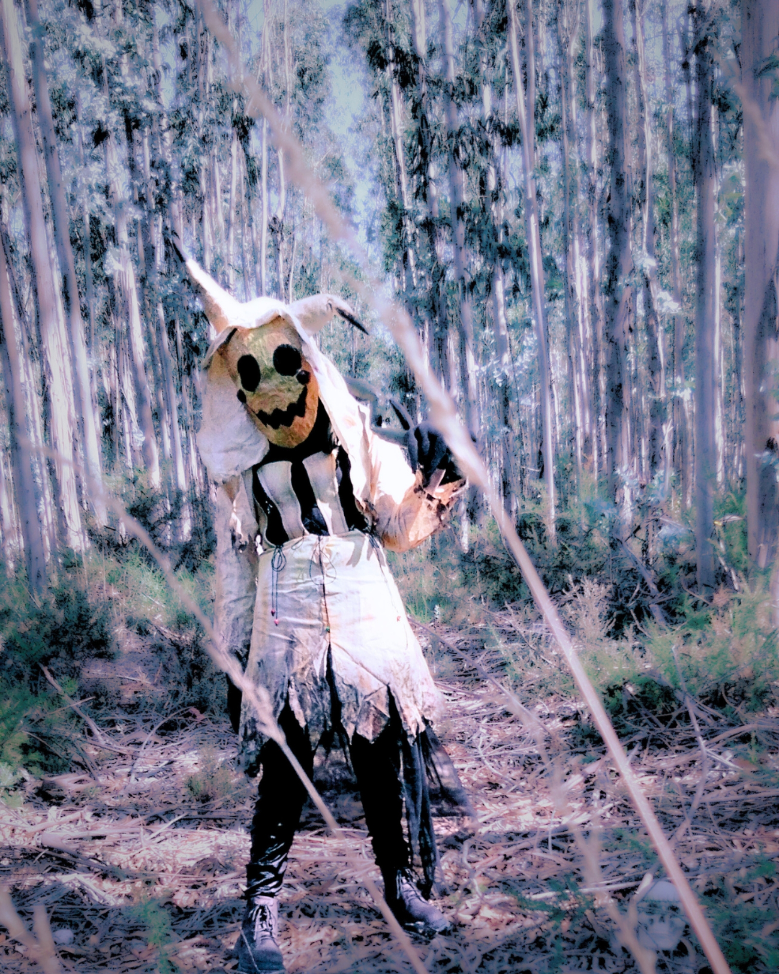Mimikyu — photo 14