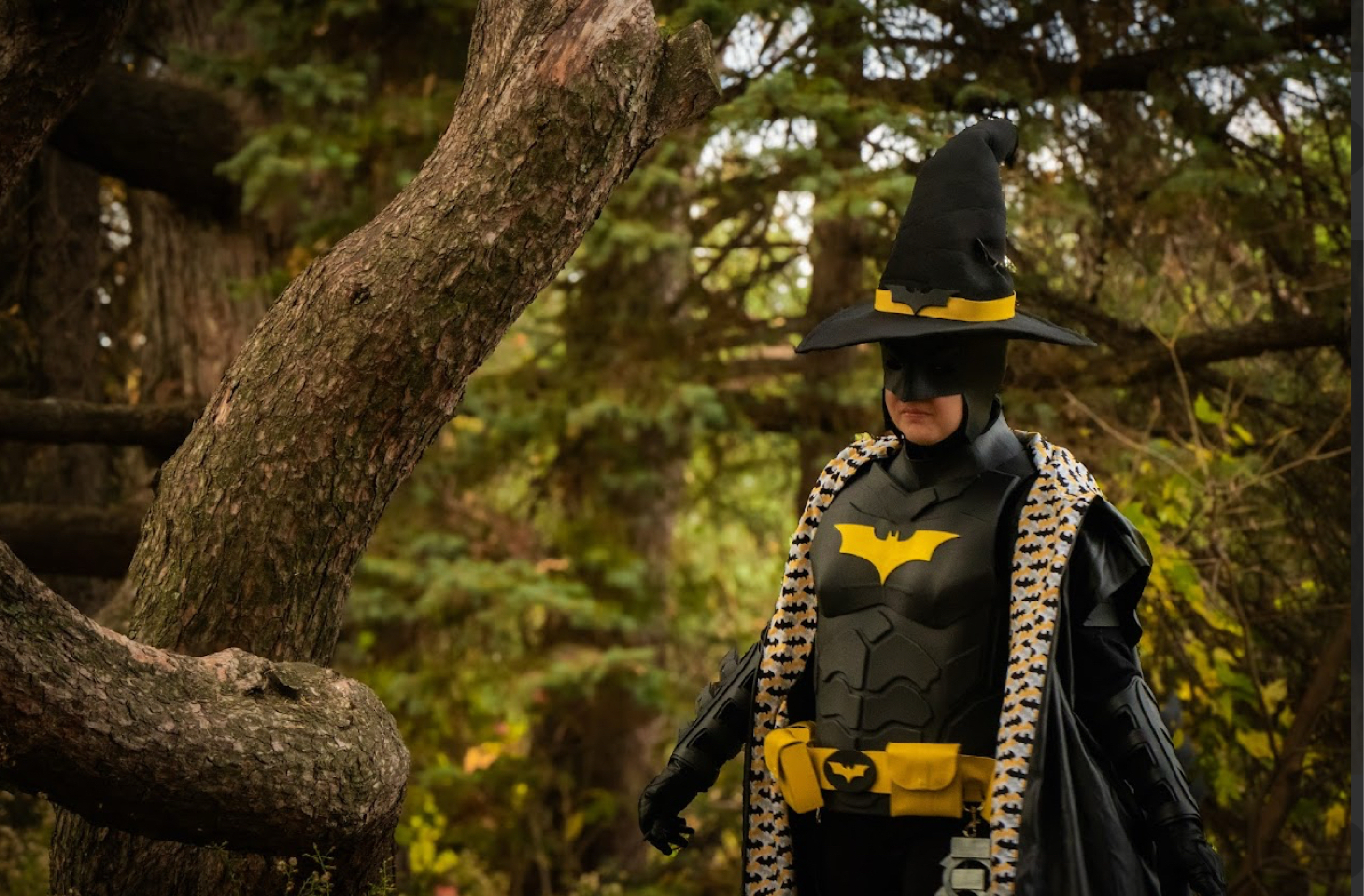 Batman Wizard — photo 11