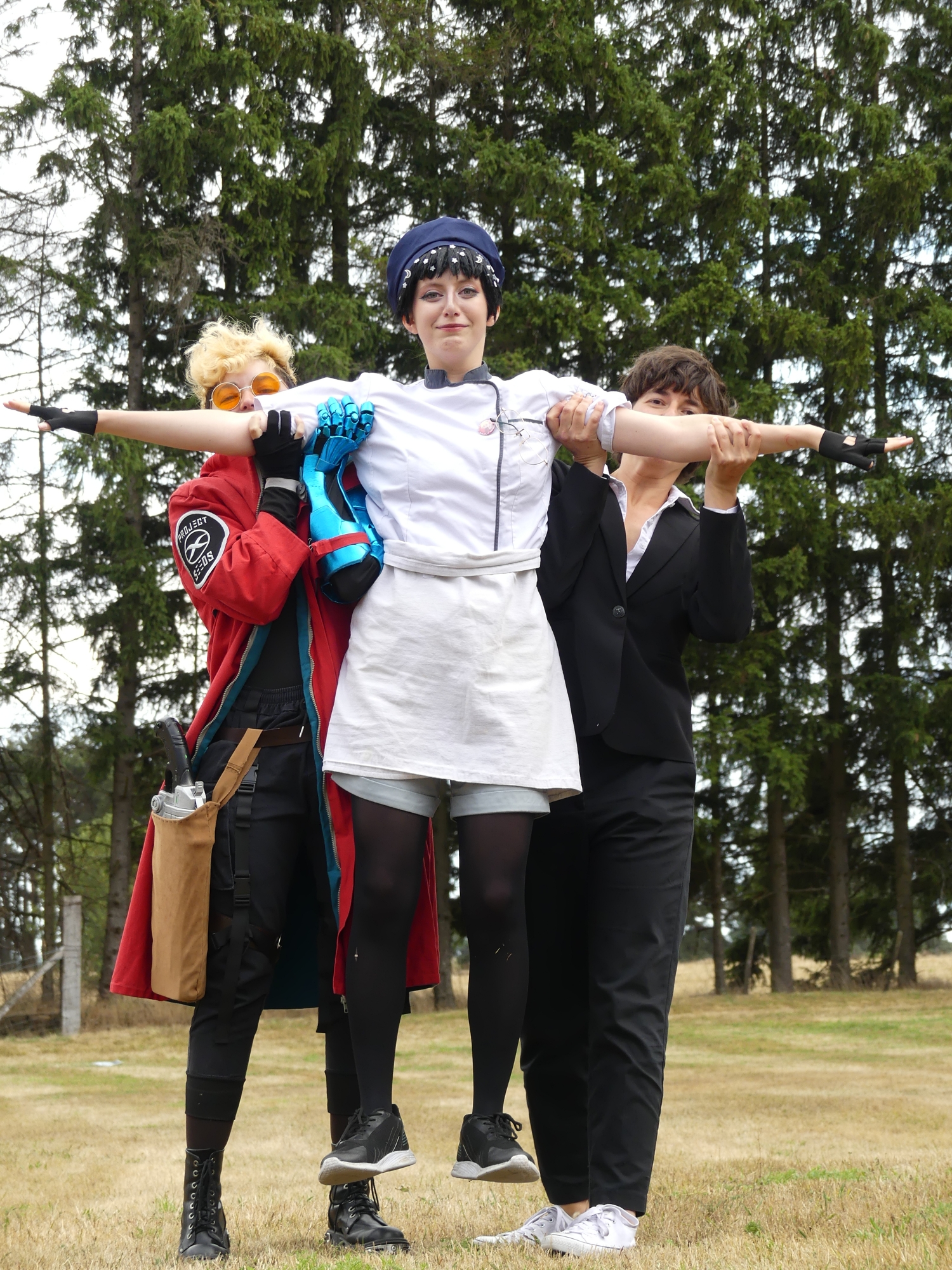 Gevaudan pop culture - Photo 23