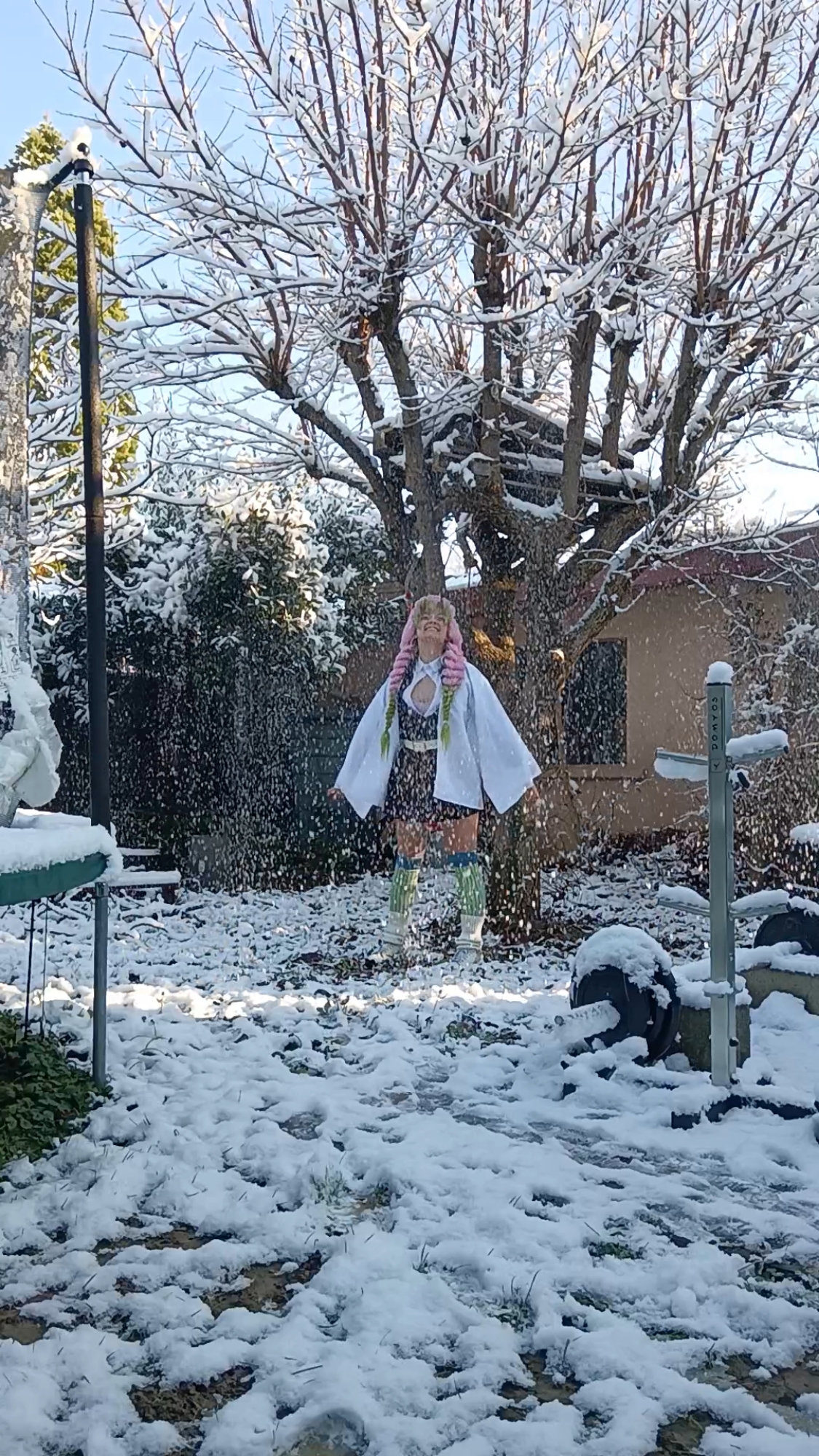 Mitsuri Kanroji - Photo 36