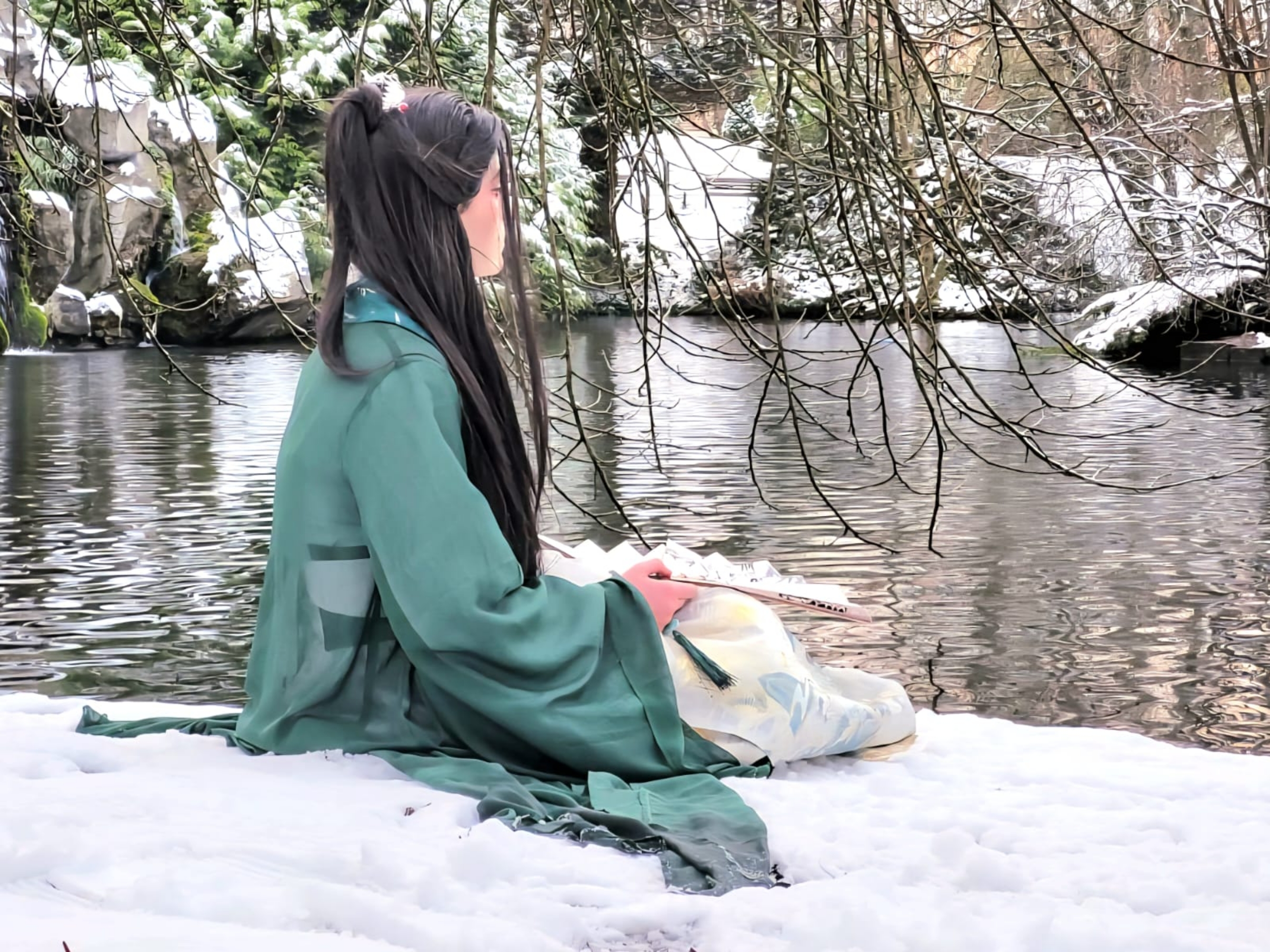 Sous la neige  - Photo 2