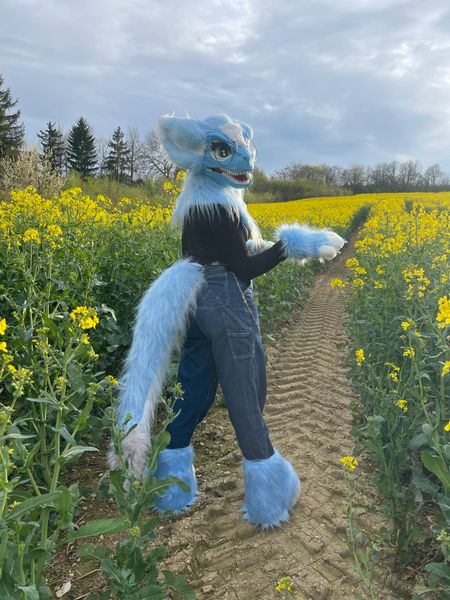 Fursymphony - Fleurs de colza ☀️
