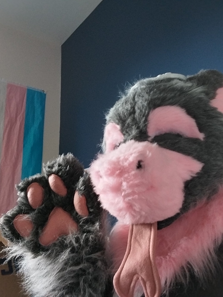 Chaloupinge  - Photo 2